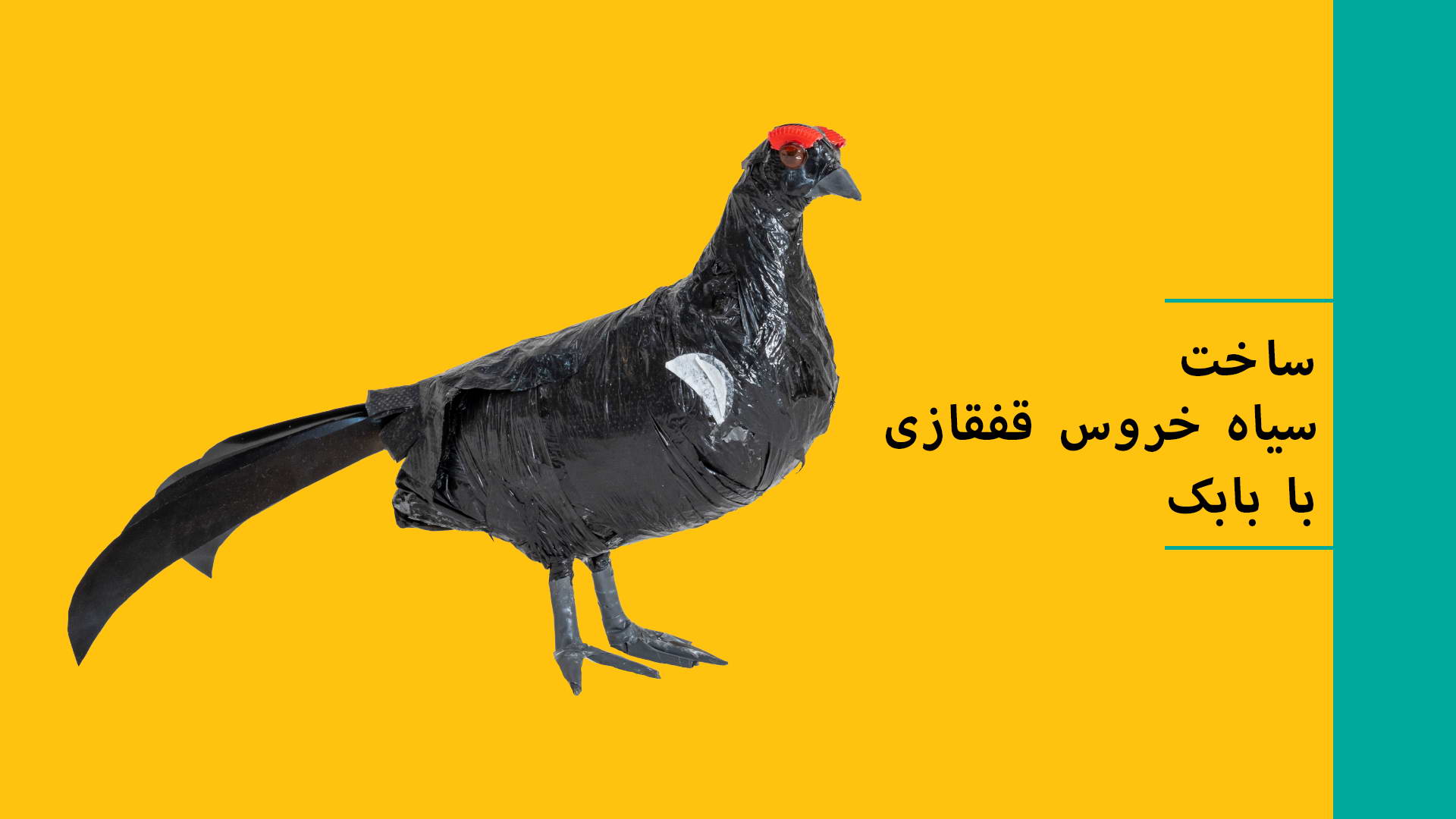 ساخت حیوانات